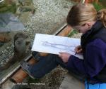 Ekocentrum (Environmental Education Center)