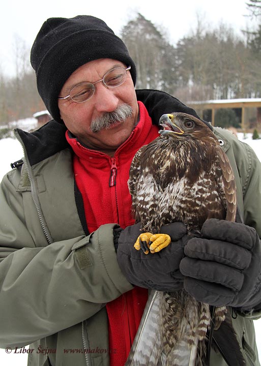 Příjem a vypouštění živočichů (Receiving and release of animals )