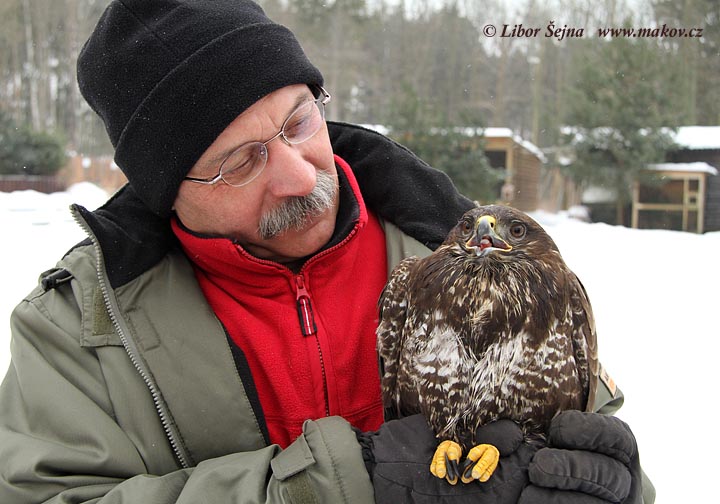 Příjem a vypouštění živočichů (Receiving and release of animals )