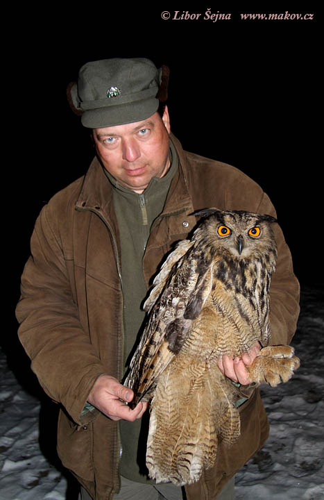 Příjem a vypouštění živočichů (Receiving and release of animals )